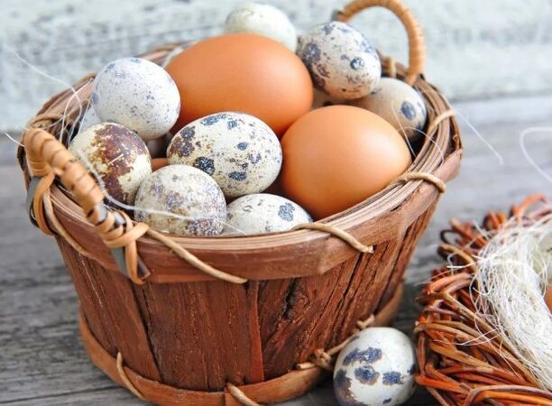 Eggs of pigeons or chicken