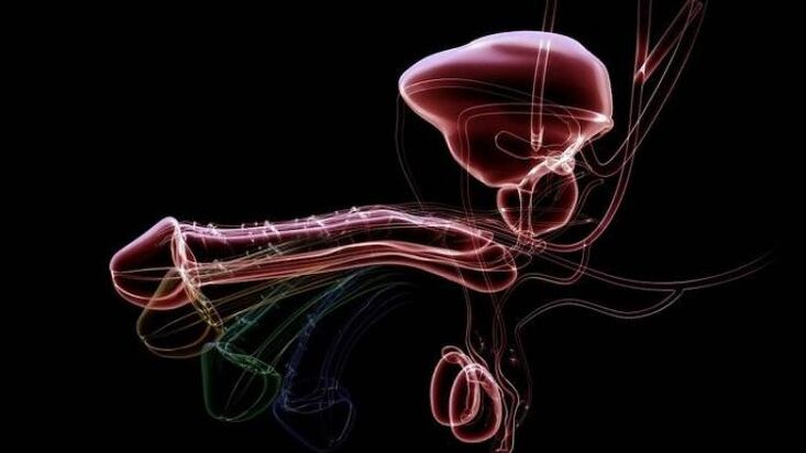 Why discharge occurs when men are excited and is it normal